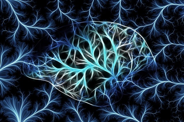 nervenschaltkreise-synapsen-gehirn