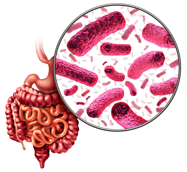 darmflora-damrmikrobiom-effektive-mikroorganismen-darmaufbau-darmbakterien