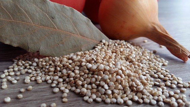 quinoa-magnesium-gehalt