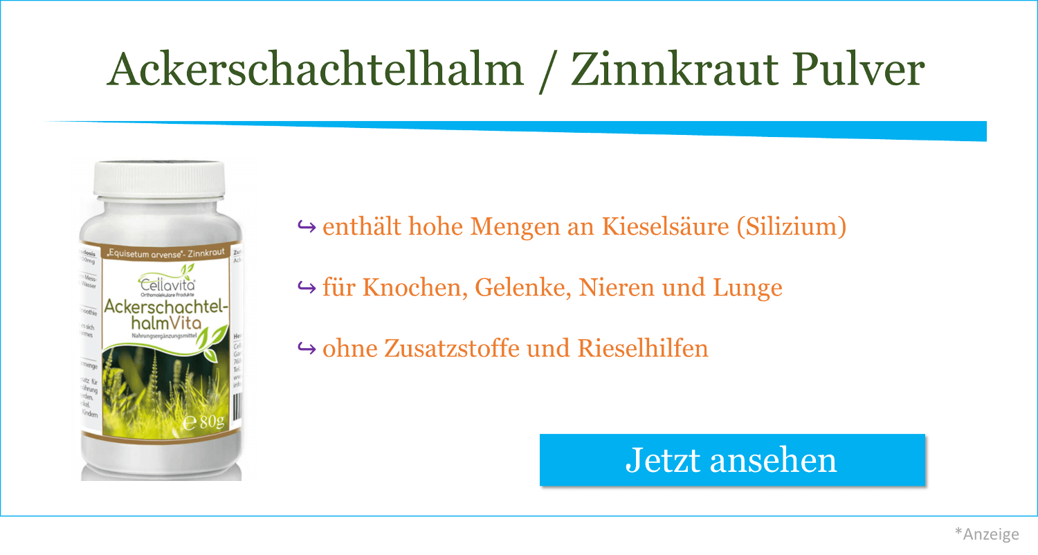 ackerschachtelhalm-pulver-kaufen-schoepferinsel-zinnkraut