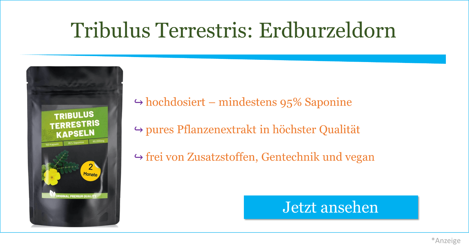 tribulus-terrestris-erdburzeldorn-kapseln-kaufen-natürlich
