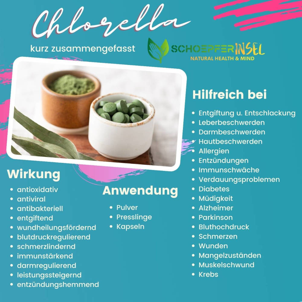 Chlorella-Chlorella-vulgaris-infografik-info-grafik-anwendung-wirkung-einnahme-erfahrungen-tabelle-uebersicht-zusammenfassung-schoepferinsel-naturheilkunde-alternative-medizin