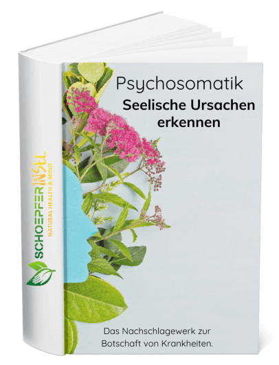 seelische-ursachen-erkennen-psychosomatik-bedeutung-ebook-schöpferinsel-alternative-medizin