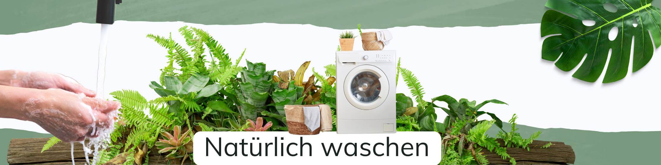 Schöpferinsel-Natürlich-waschen-Produkt-Übersicht