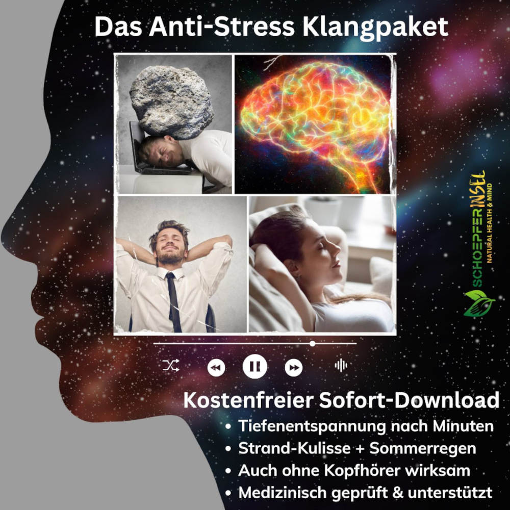 anti-stress-programm-download-trilax-anti-stress-klänge-laysor-schoepferinsel-dgn-strand-regen