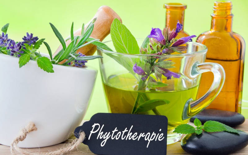 BTB Bildungswerk Gesundheit