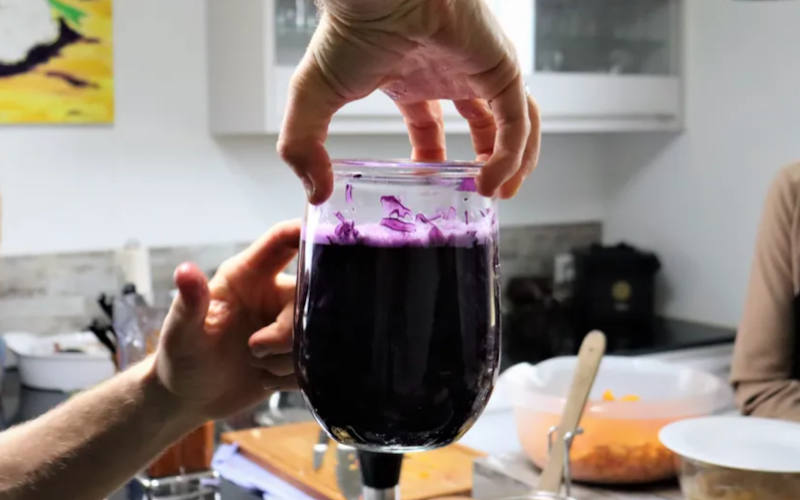 Fermentationskurs: Grundlagen der Fermentation