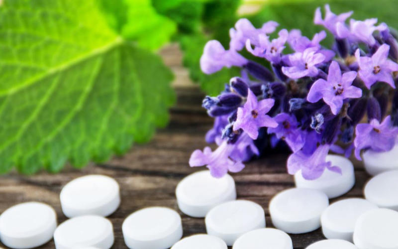 BTB Bildungswerk Gesundheit